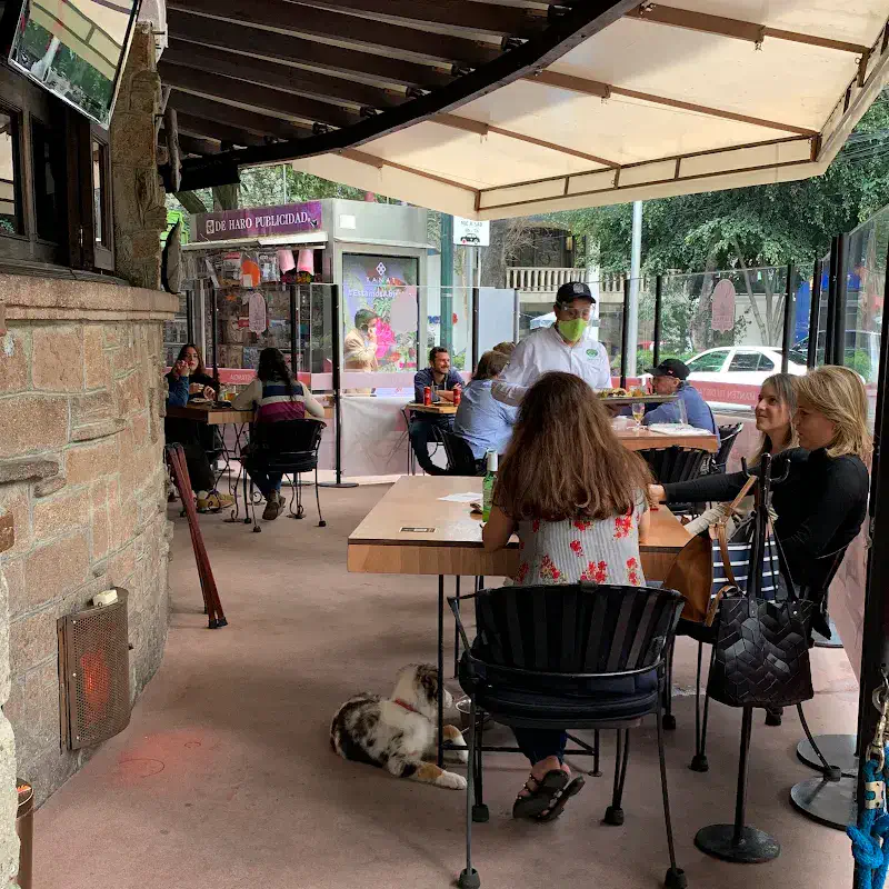 Pet-Friendly Restaurants in Cancún