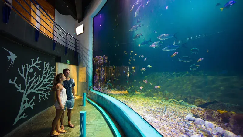 Exploring the Cancun Interactive Aquarium