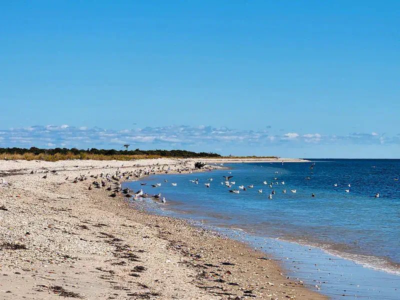 Outdoor Adventure at Orient Beach State Park