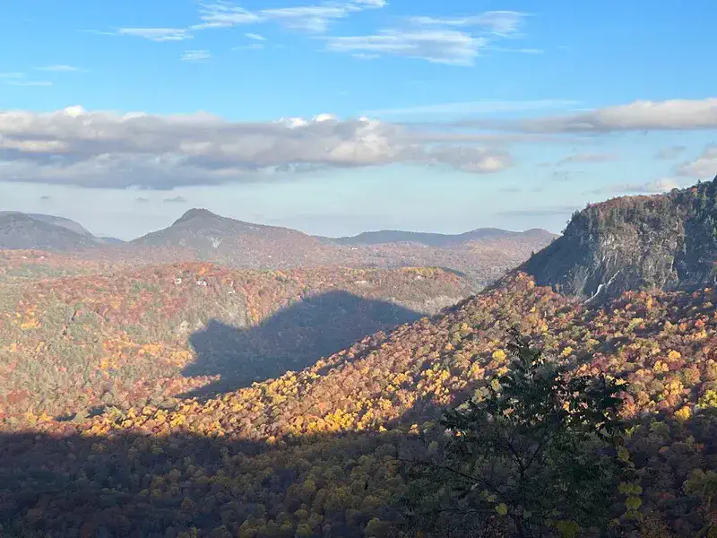 Explore the Area