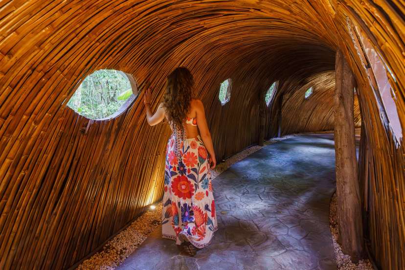Welcome to the jungle 🍃✨ Your new Puerto Morelos getaway just dropped