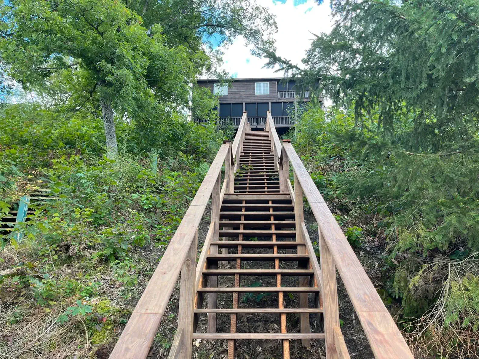 Authentic cabin charm, seen from the lake.