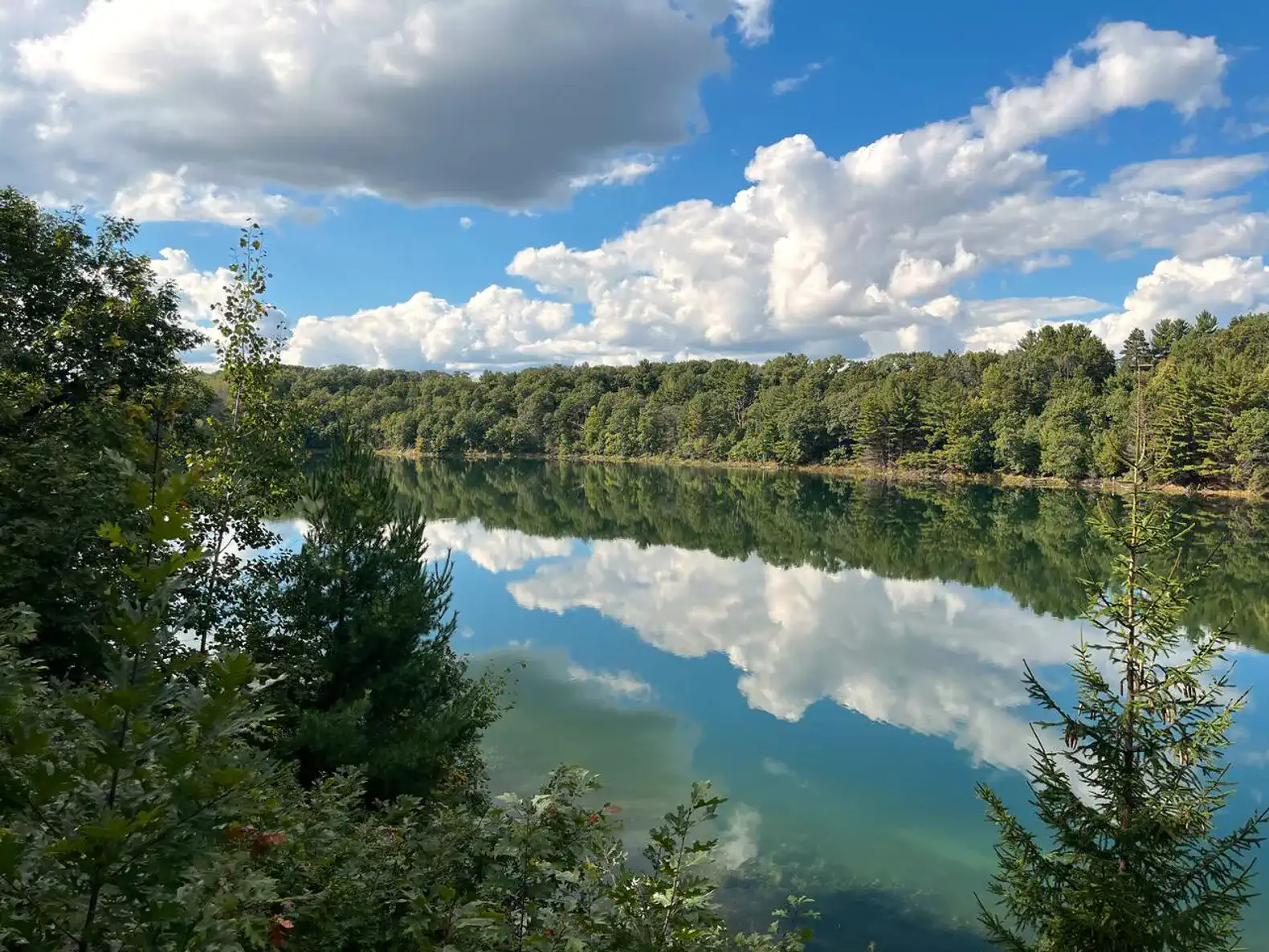 Serene lake view reflecting clouds and trees