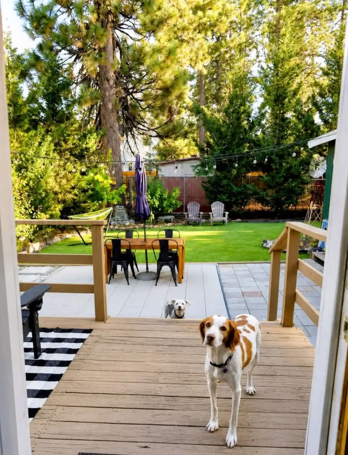 Fenced Yard • Walk to Lake & Village • Cozy Cabin – photo 1