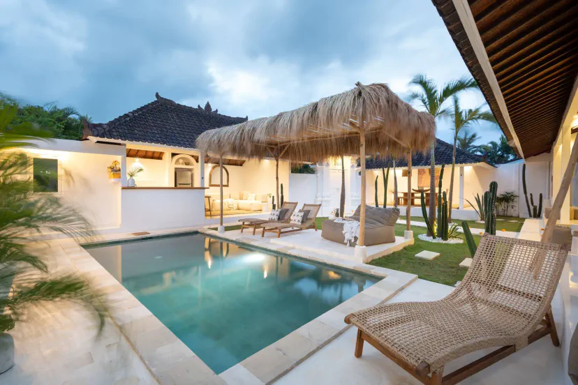 Saudara Palm Overview