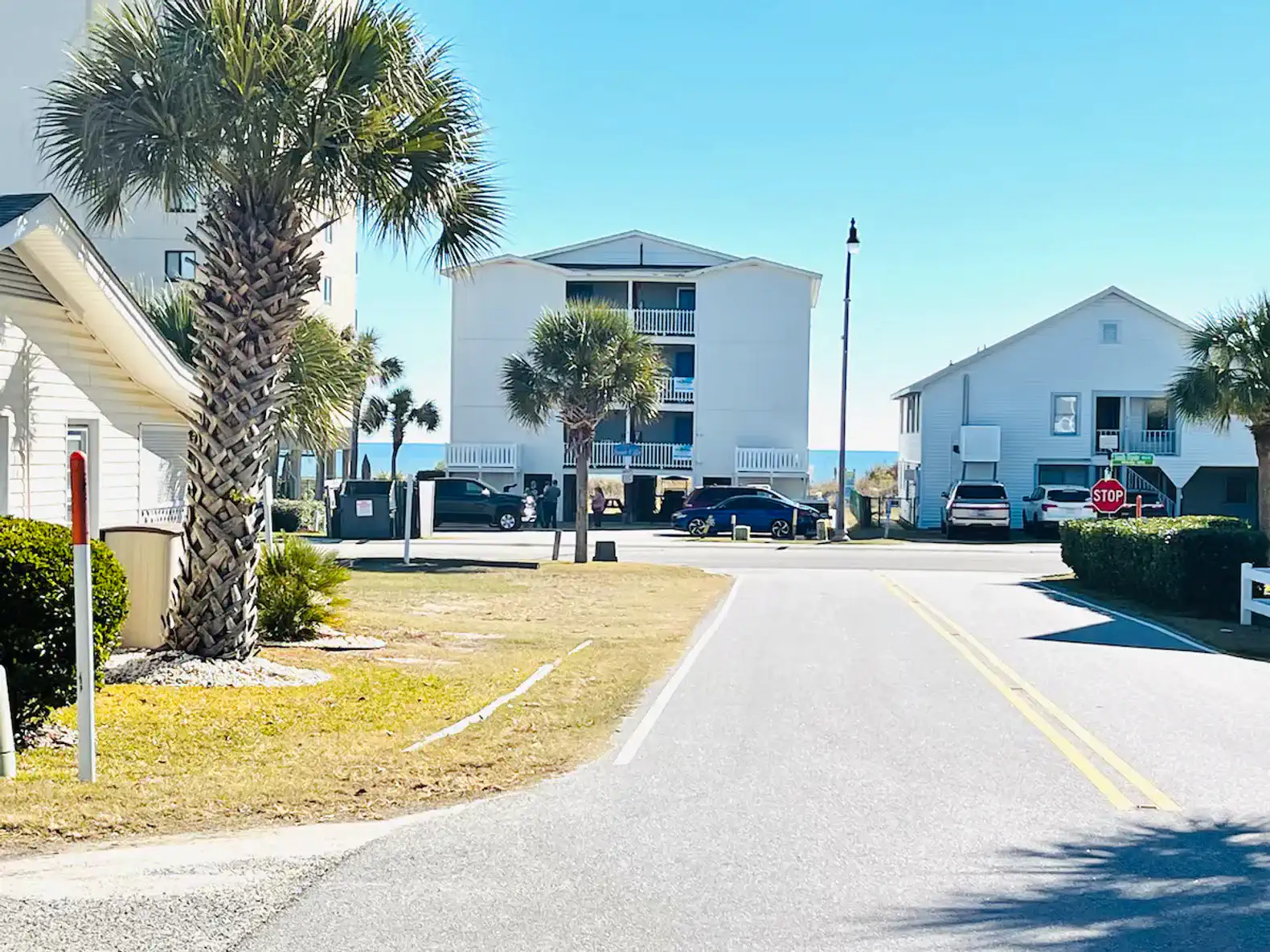 All DOGS welcome! Large saltwater pool, PRIME location – photo 60