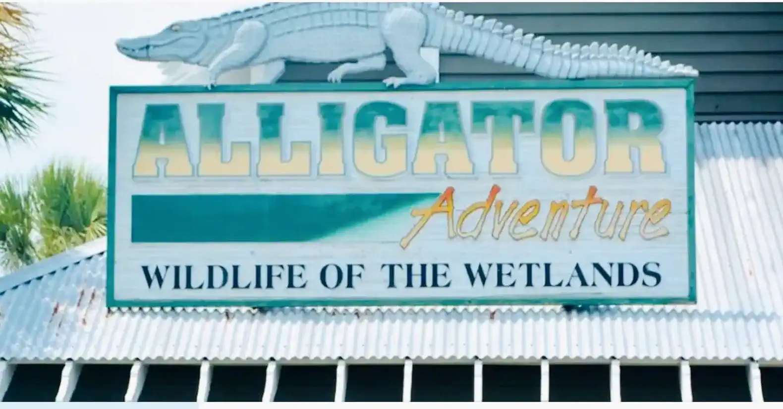 All DOGS welcome! Large saltwater pool, PRIME location – photo 75