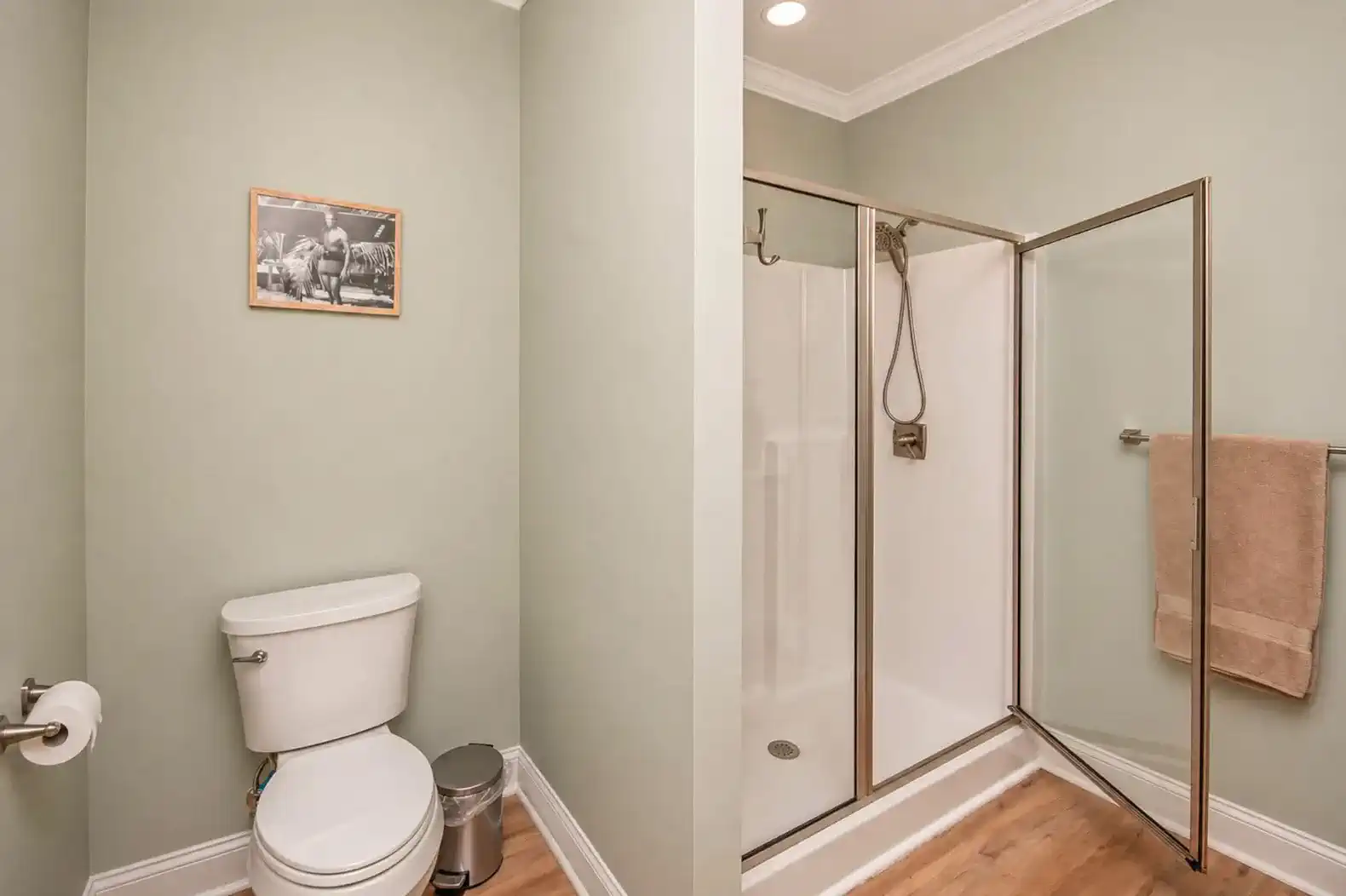 Modern bathroom featuring a shower and toilet with light green walls