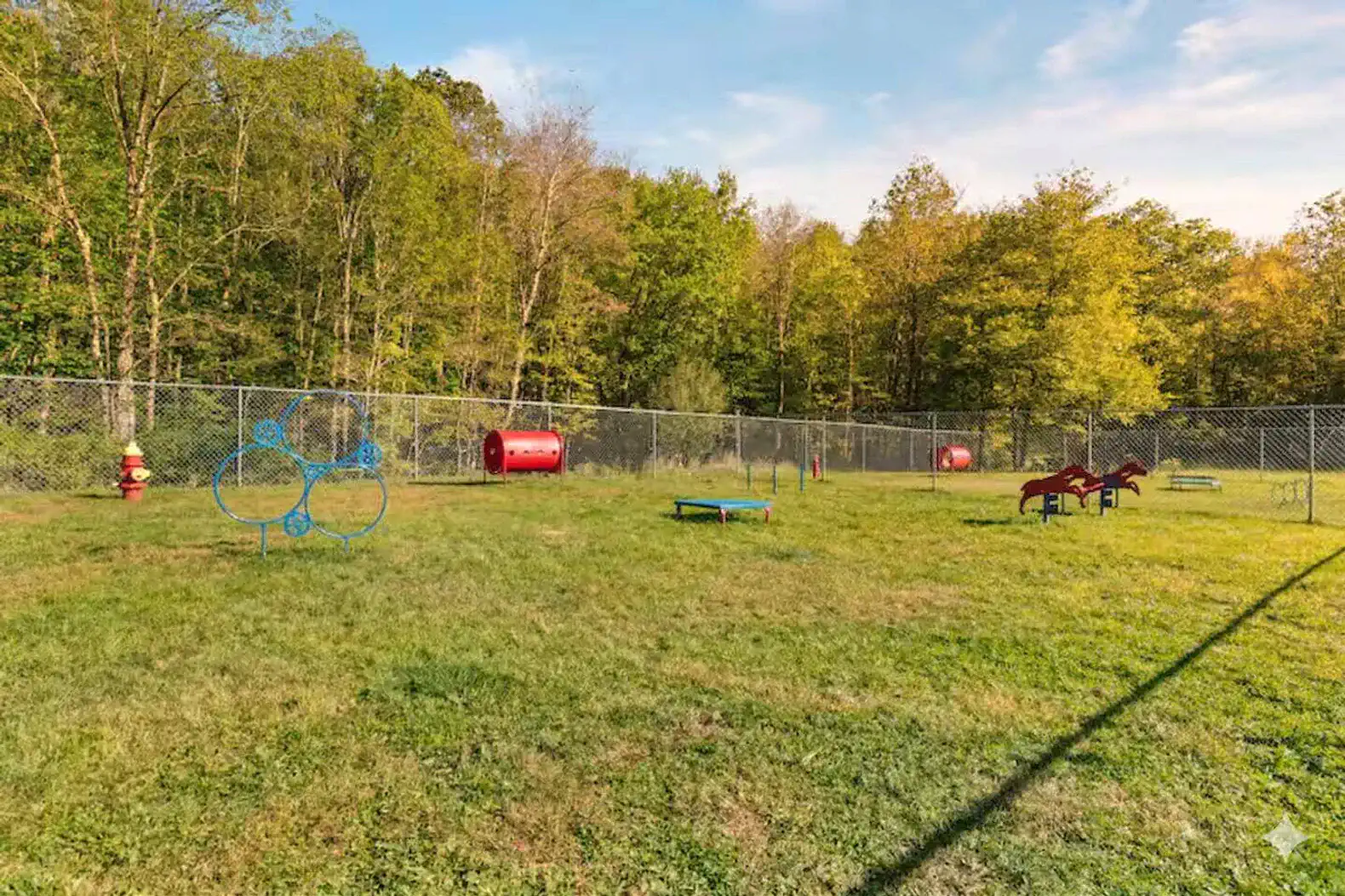 Nearby community dog park and playground, just minutes from the home
