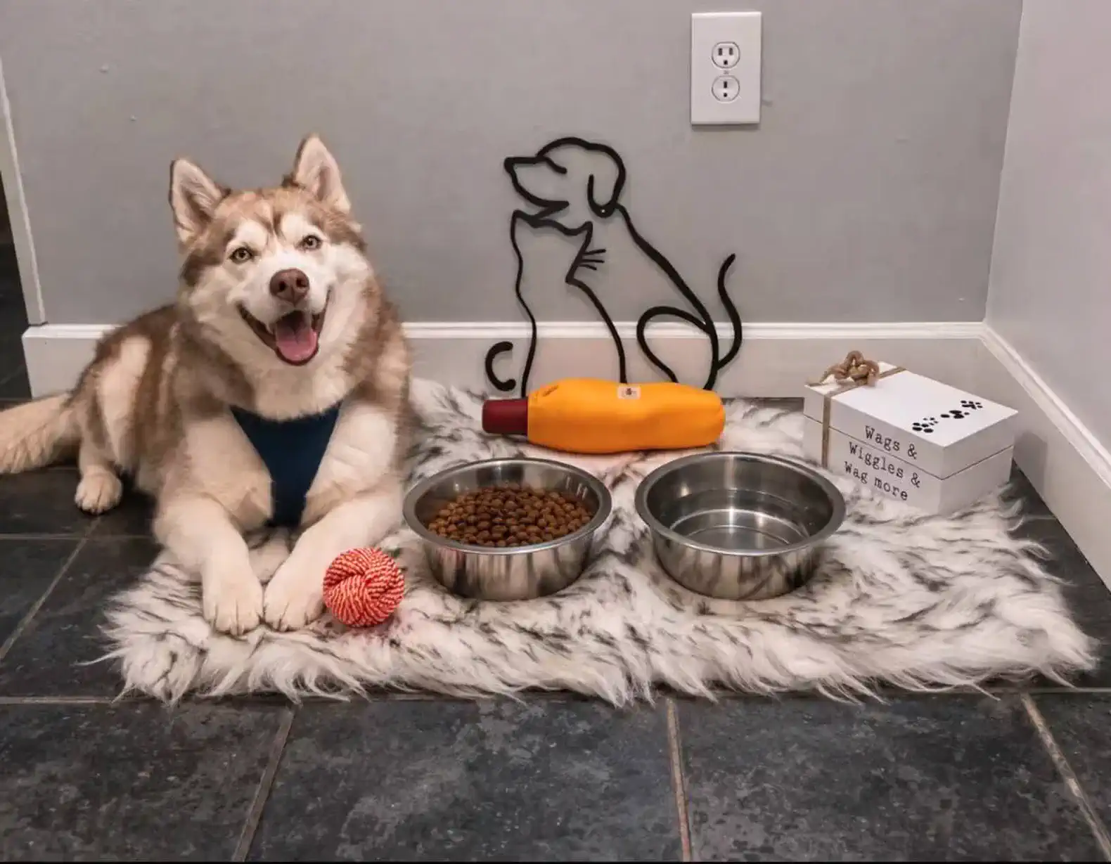 Pet-friendly touch—dedicated feeding station so your furry friends feel right at home
