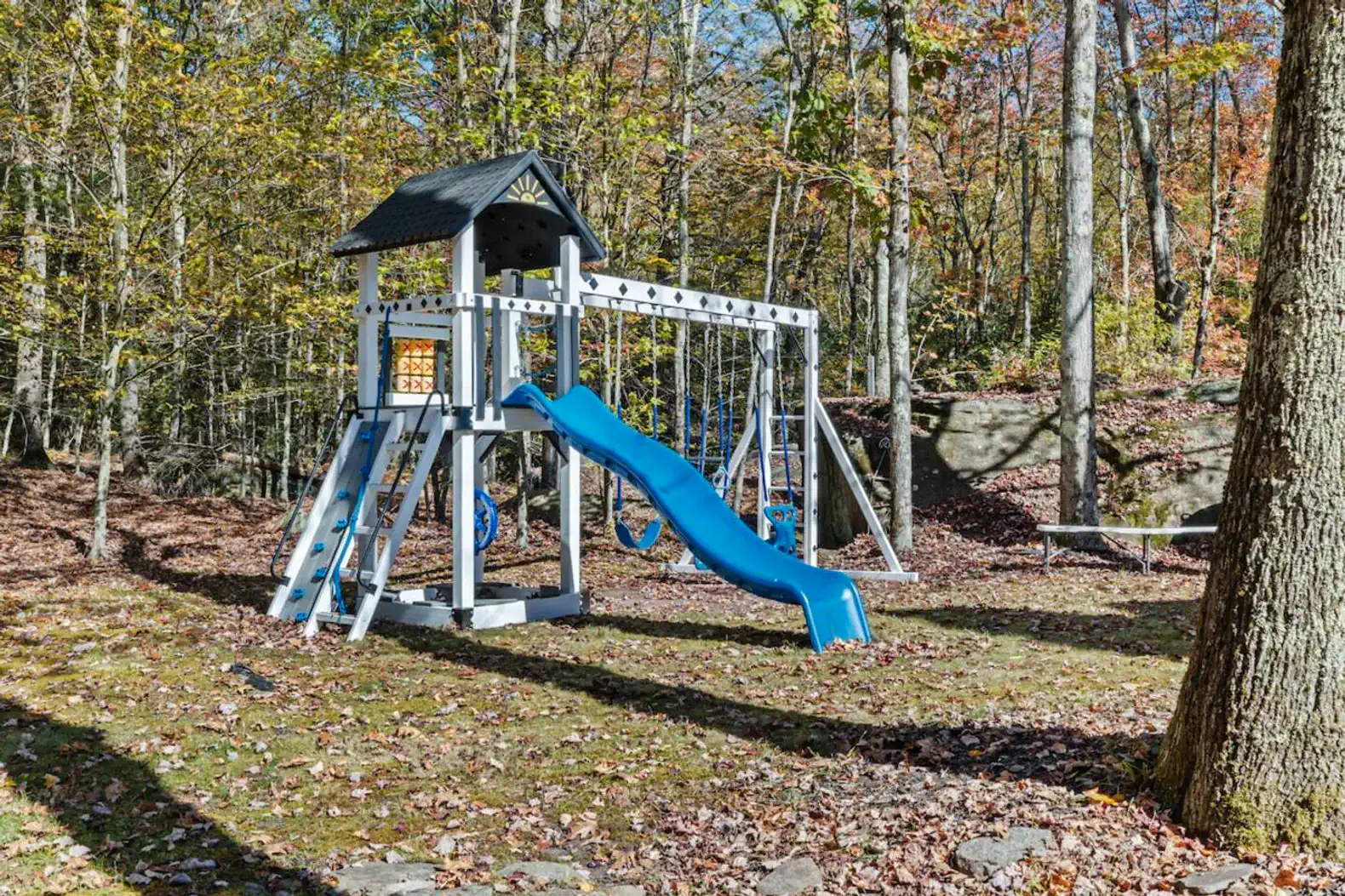 Expansive lawn with a private playset — perfect for kids to enjoy the outdoors.