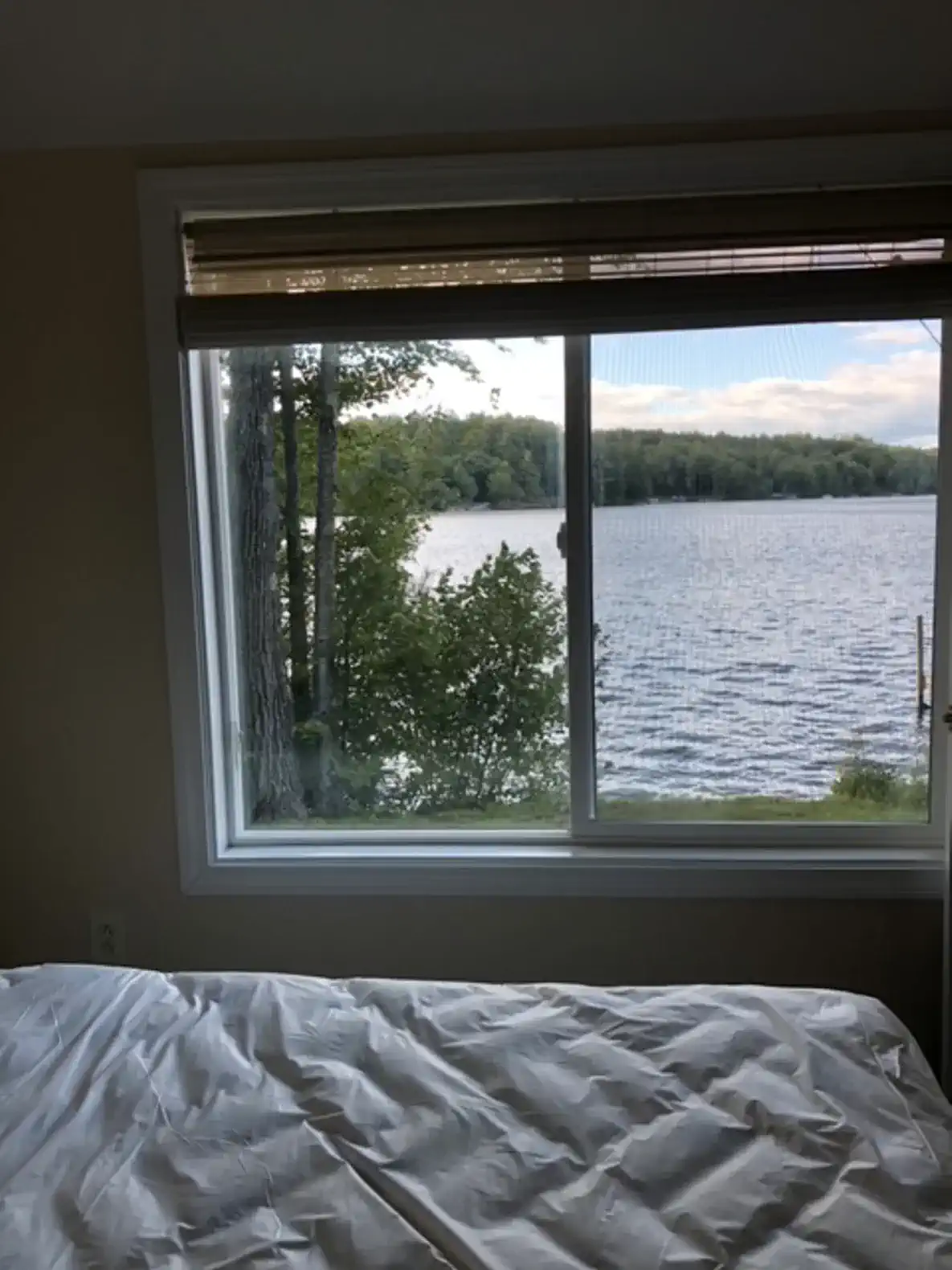 Waterfront Cottage photo 3