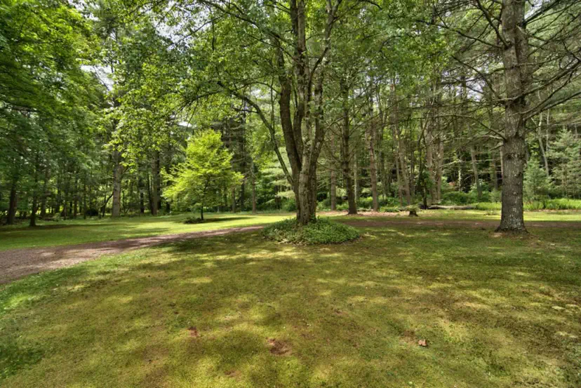 Ten acres and a creek in Mountainhome