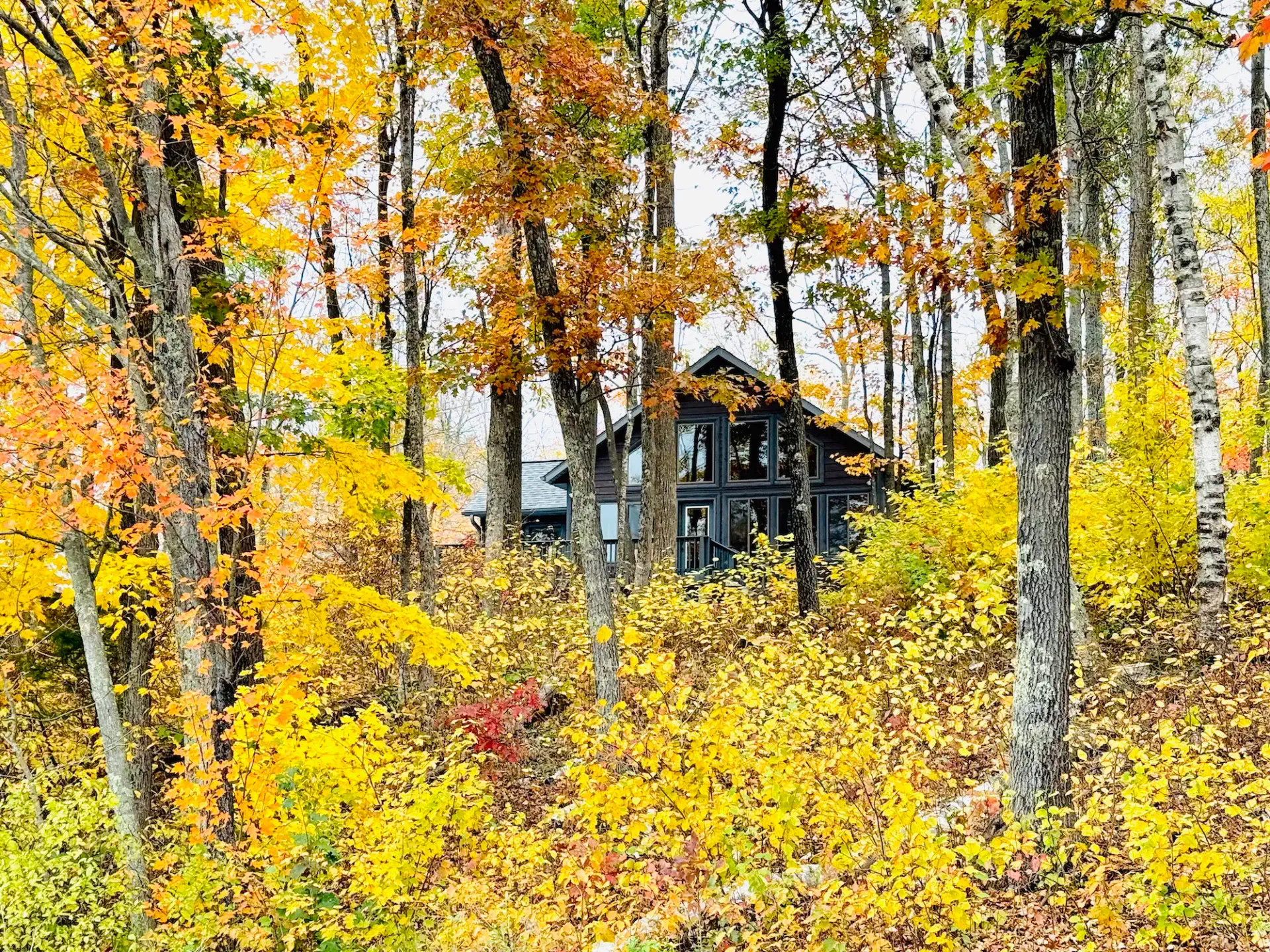 Cattail Chalet – Foto 3