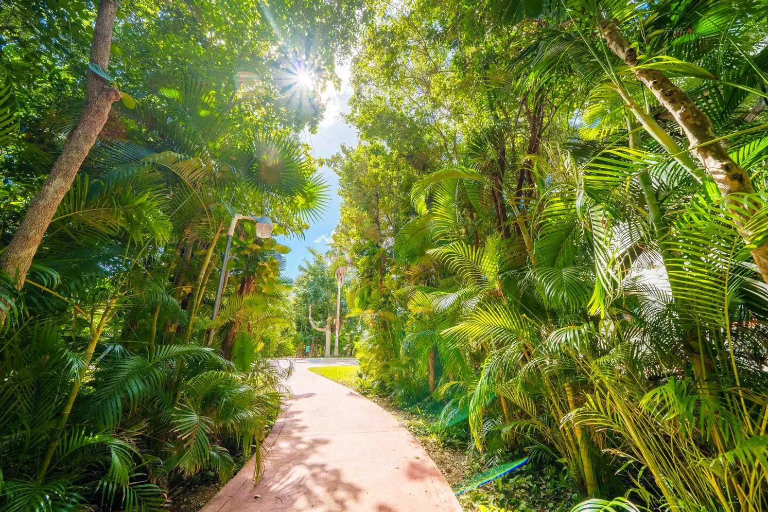 Full of places to walk among the trees