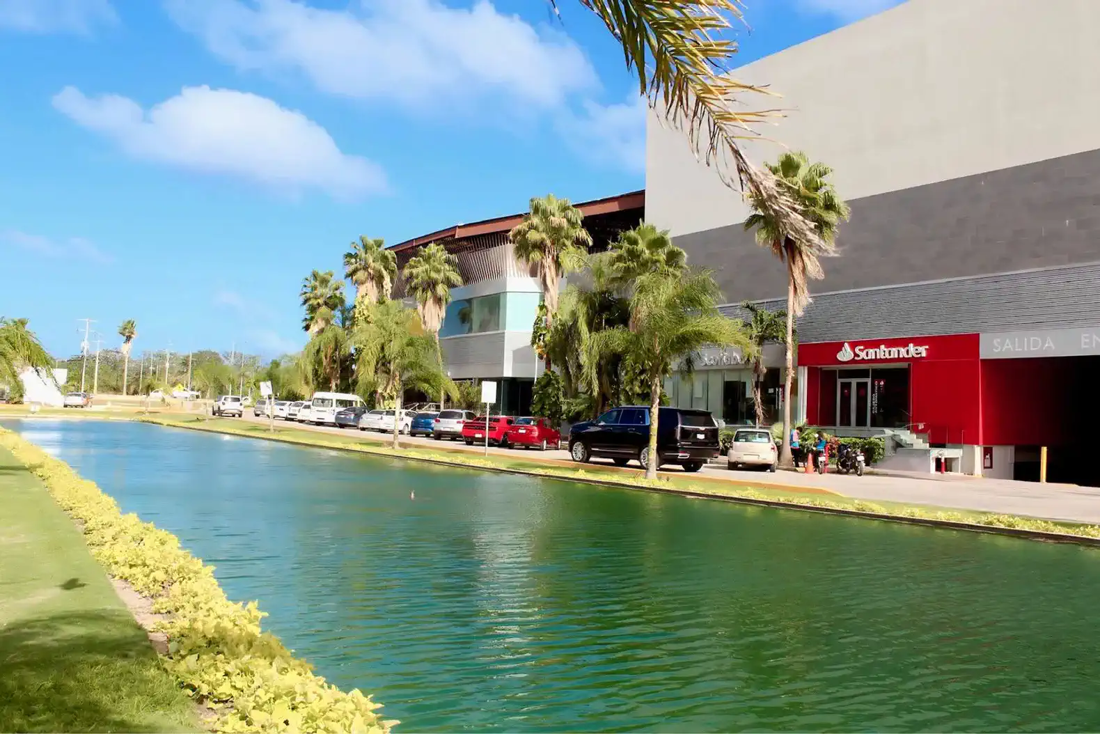 Canal rodeado de palmeras y edificios comerciales con un banco Santander