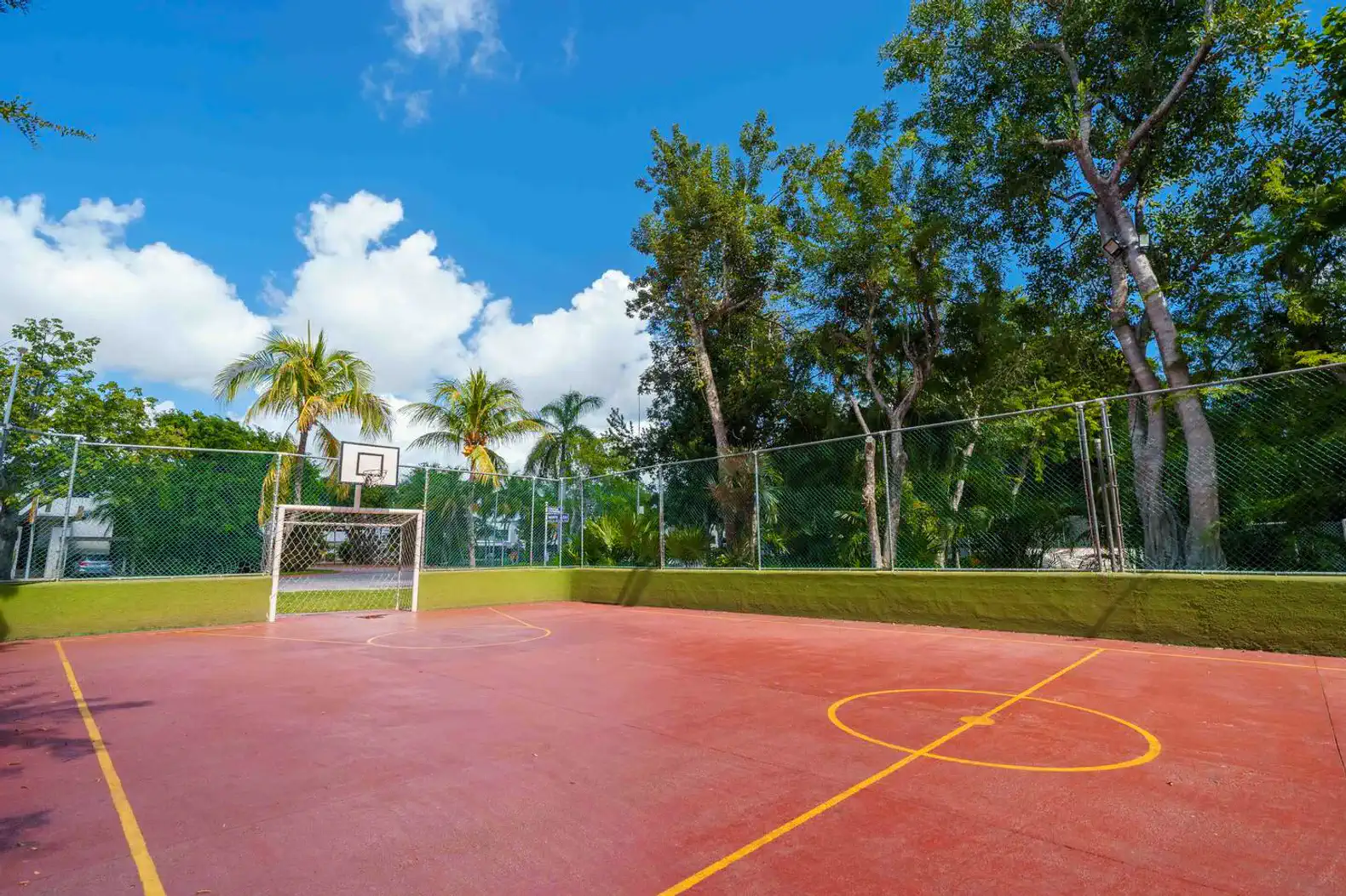 Cancha de baloncesto al aire libre rodeada de árboles y vegetación