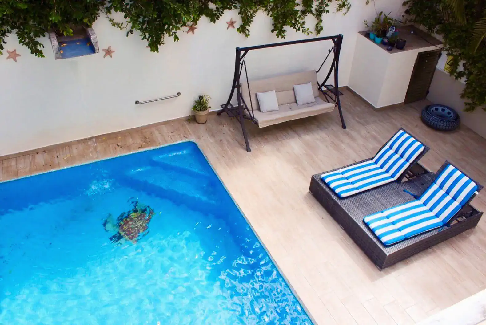 Piscina privada climatizada con tumbonas y columpio en un ambiente relajante