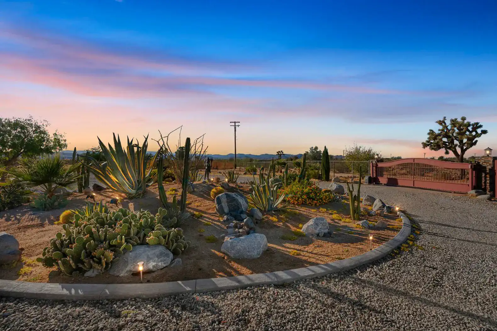 Desert landscaping with cacti and rocks at sunset