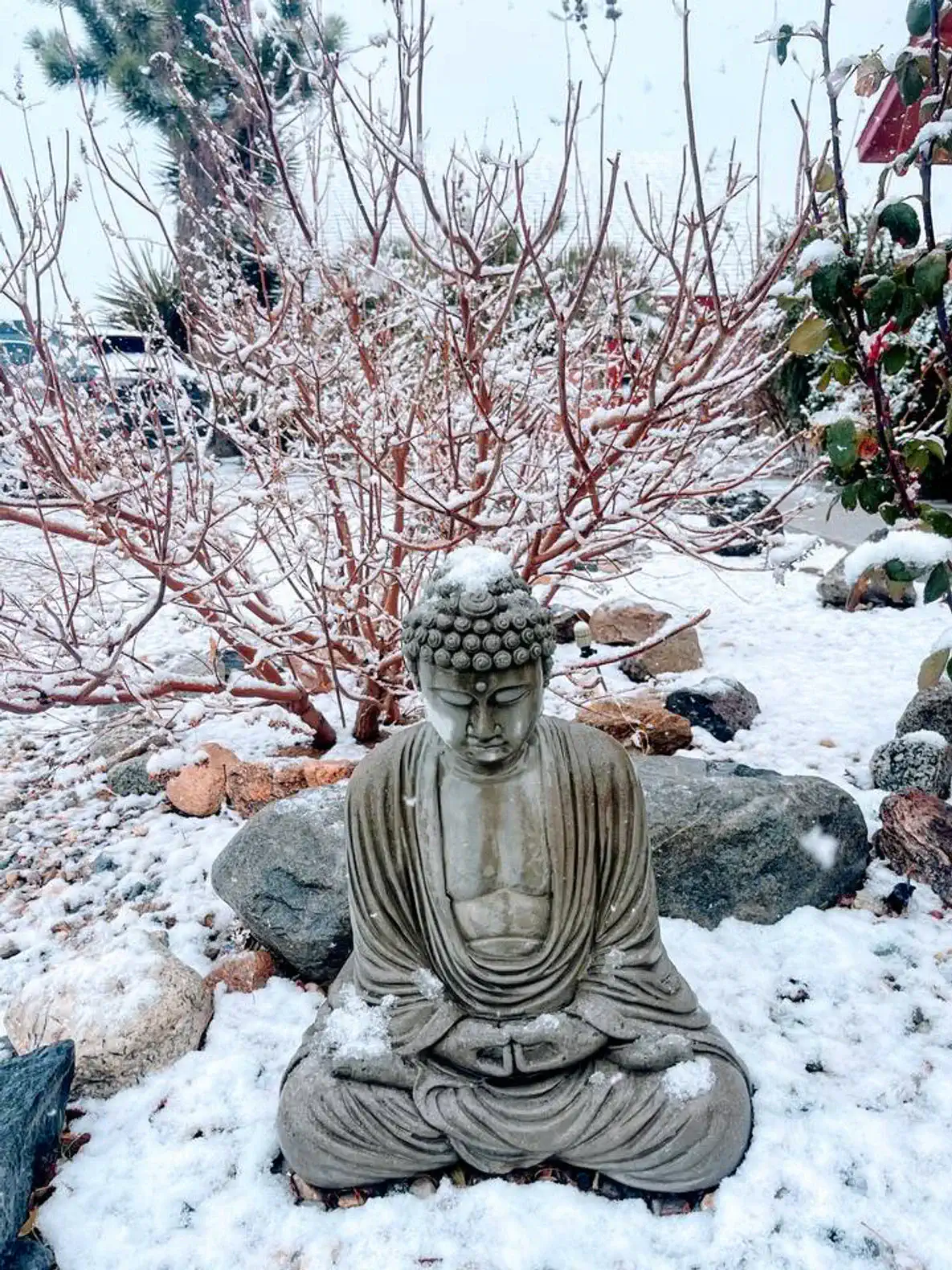 Snow-covered Buddha statue surrounded by rocks and bare branches