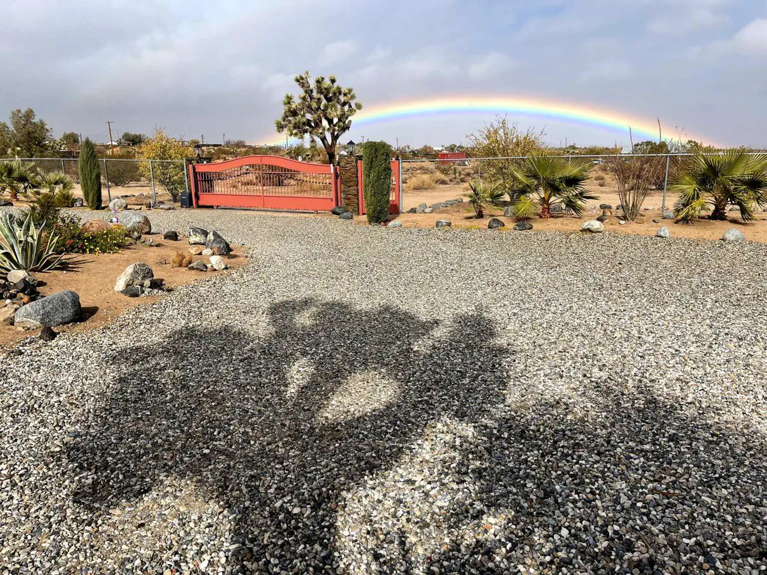 Starlite Casita - Charming Renovated Cabin + Spa photo 8