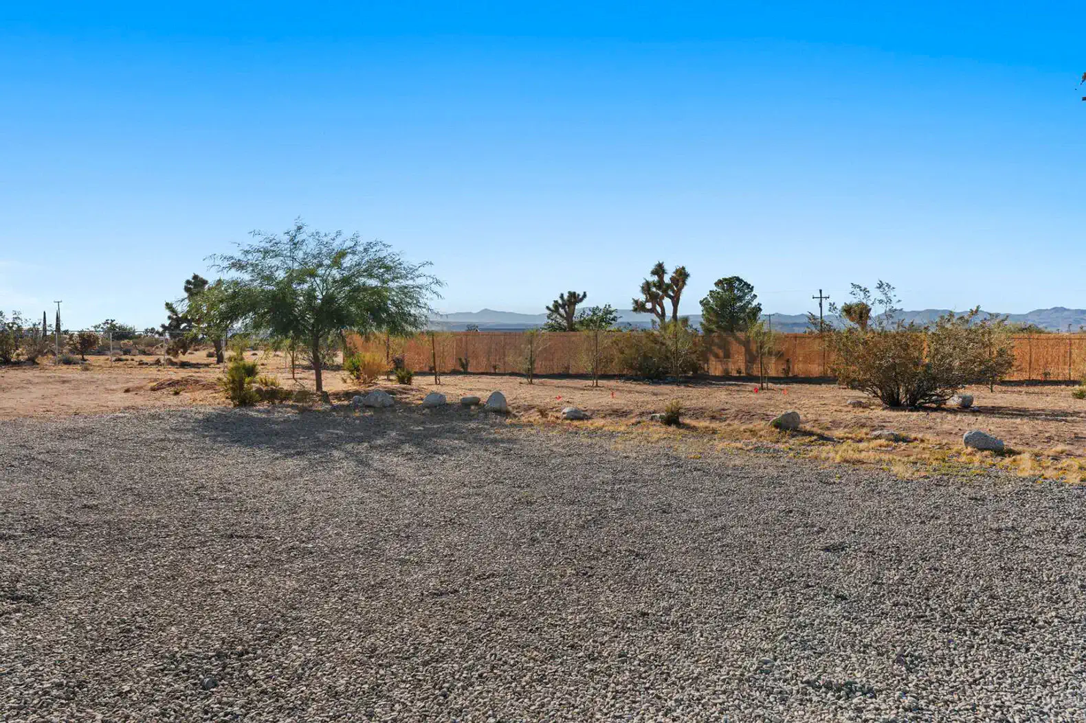 Scenic view of desert landscape with sparse vegetation and distant mountains