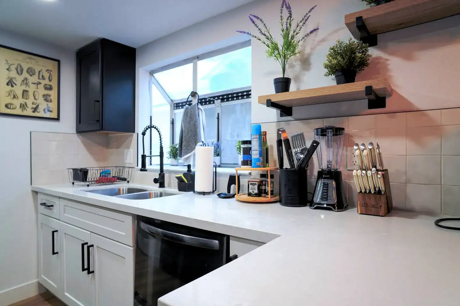 Modern kitchen with sleek countertops, stainless steel appliances, and decorative plants