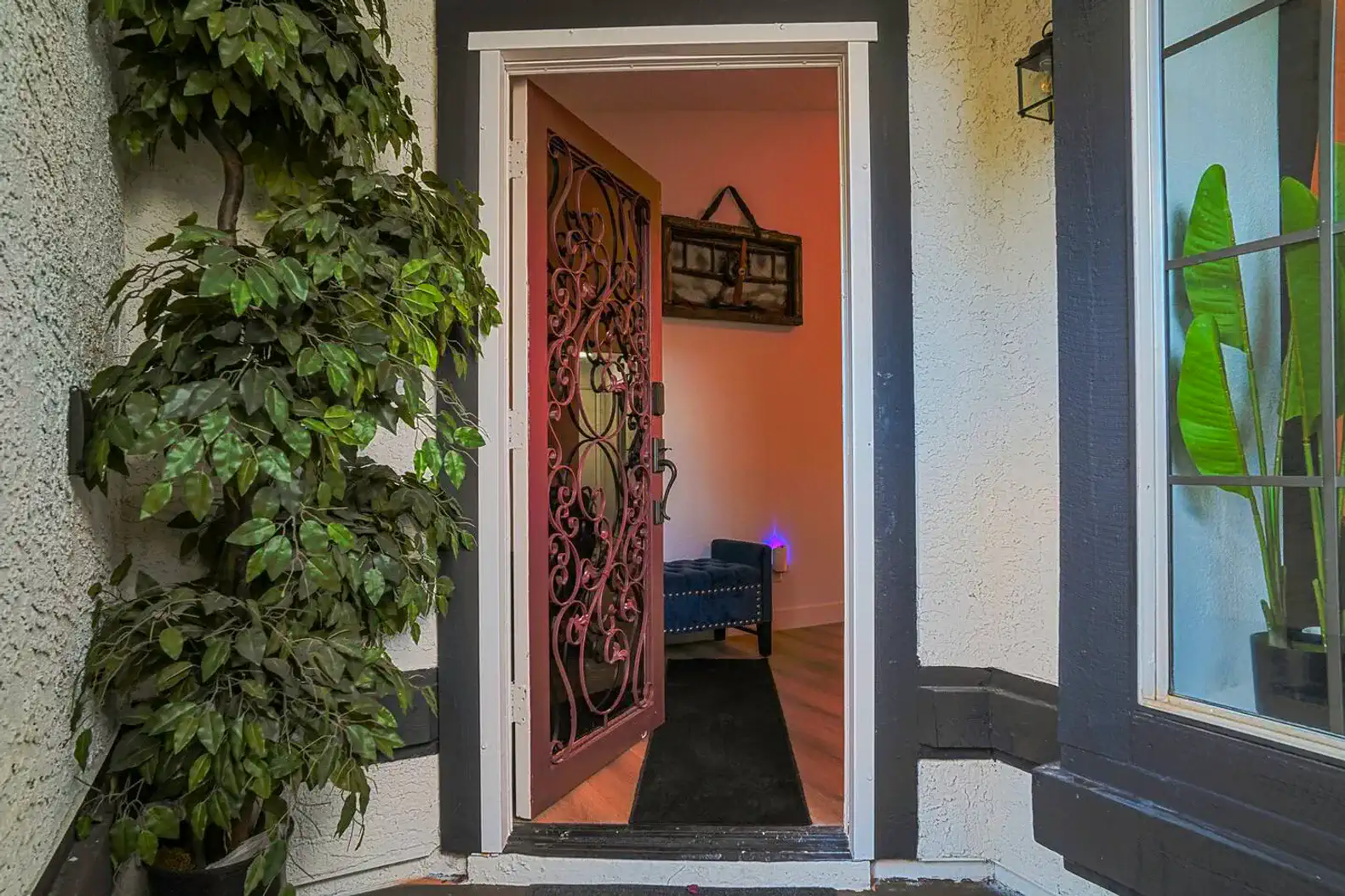 Welcoming entrance with decorative door and indoor plants