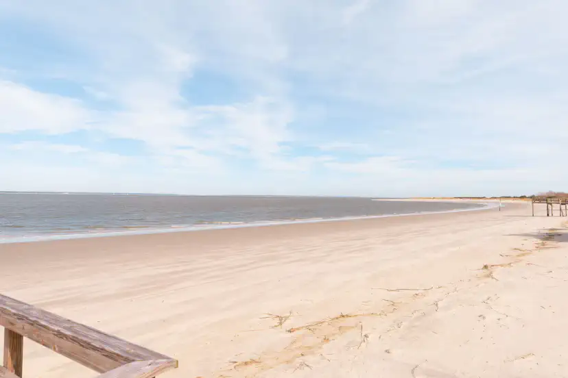 Savannah’s beach, with a personality of its own