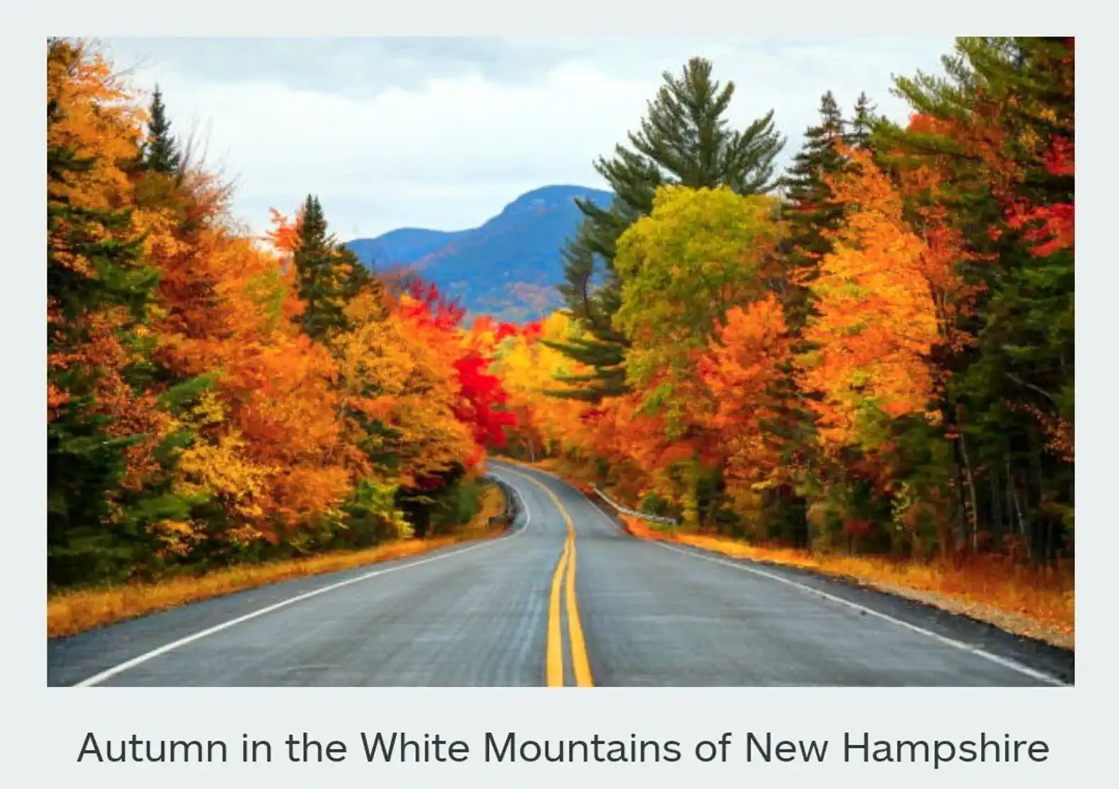 Scenic autumn view of a winding road surrounded by vibrant fall foliage