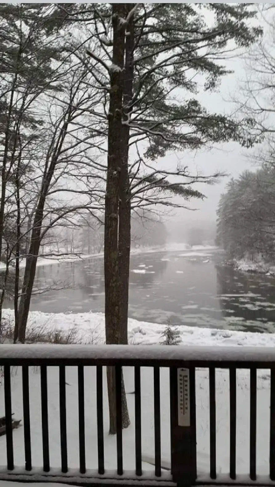Pet Friendly North Conway Cottage photo 2