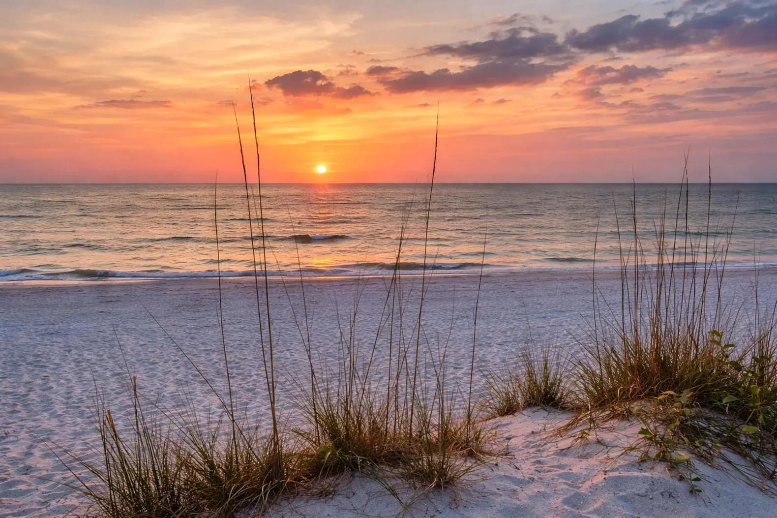 Sunday Rhythms to Sunset Scoops: A Relaxed Treasure Island Afternoon