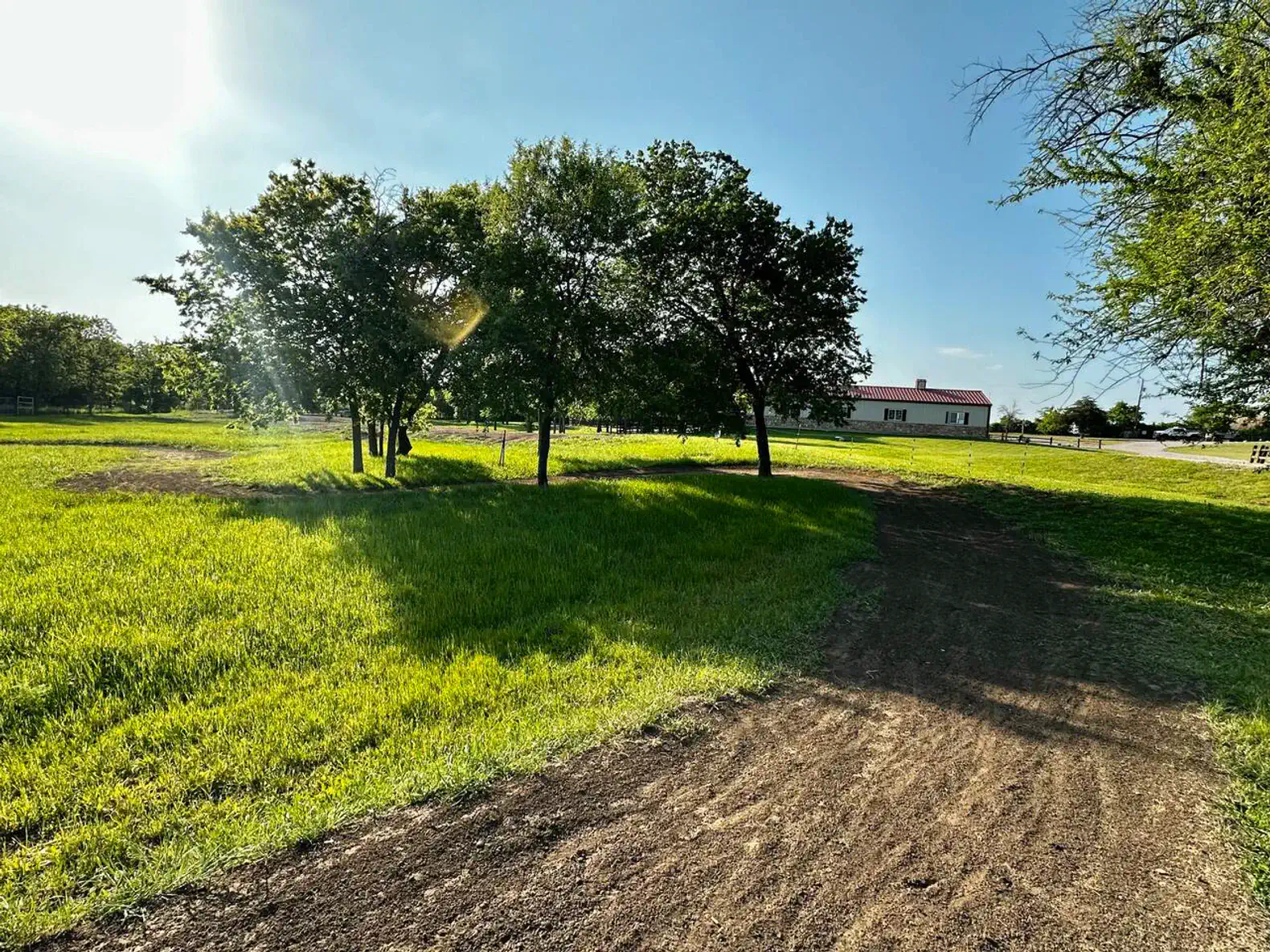 Lush green field with trees and a pathway leading to a house in the background