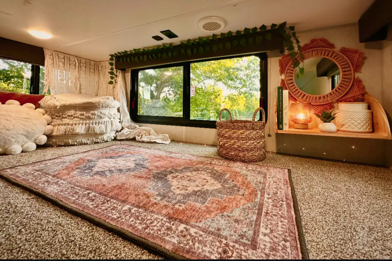 Cozy living area with a decorative rug, plants, and natural light from large windows
