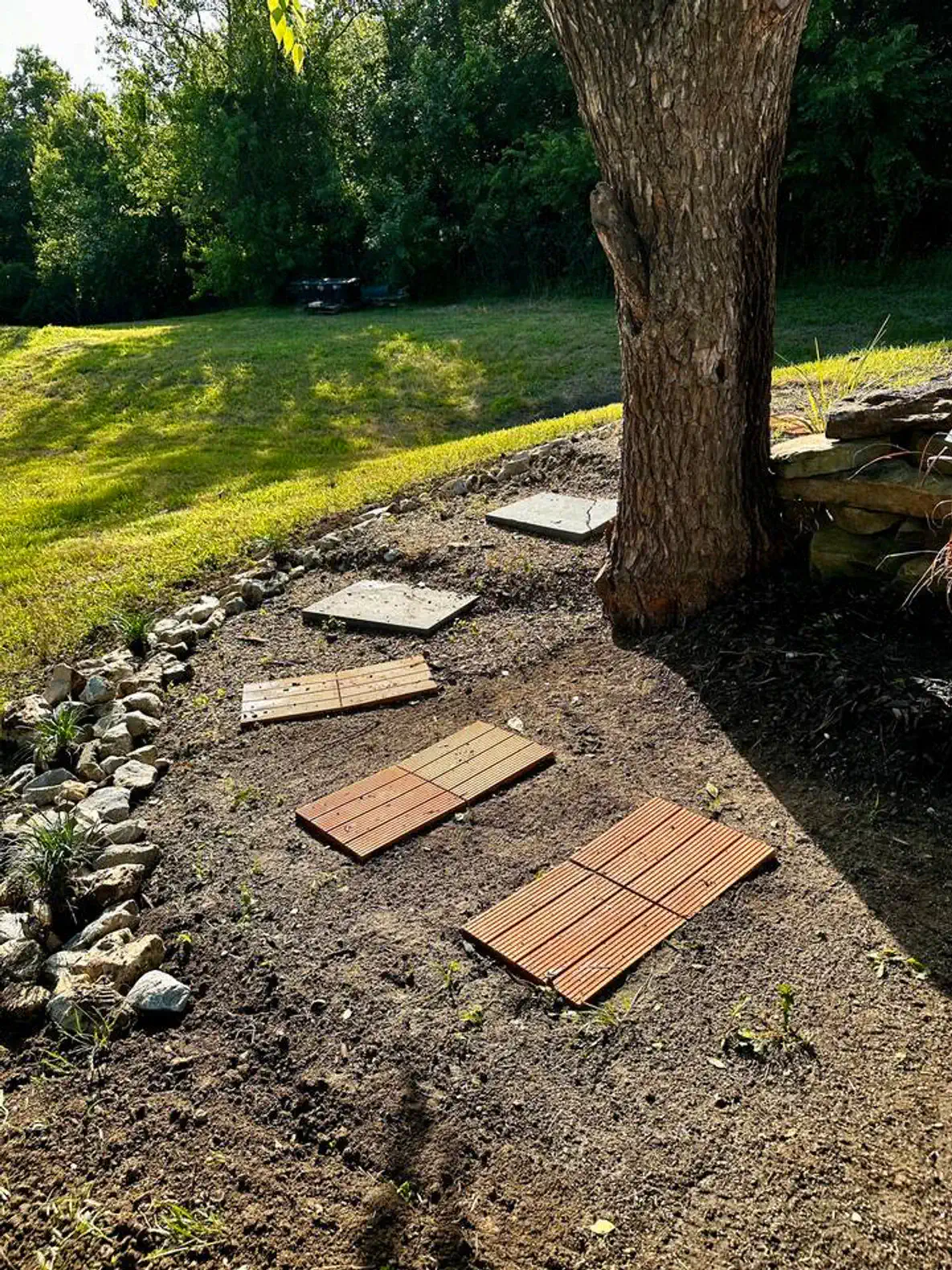 Wooden stepping stones leading through a garden area near a tree