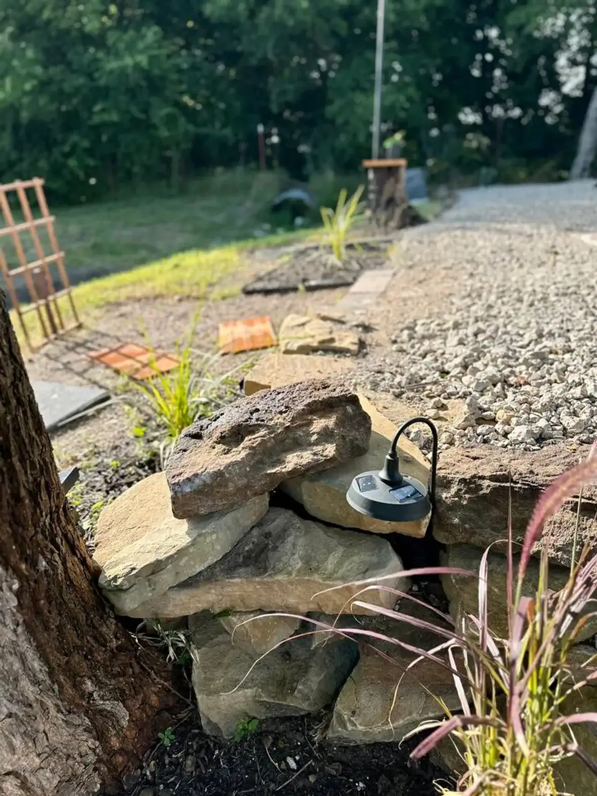 Landscaped garden area with rocks, plants, and a solar light
