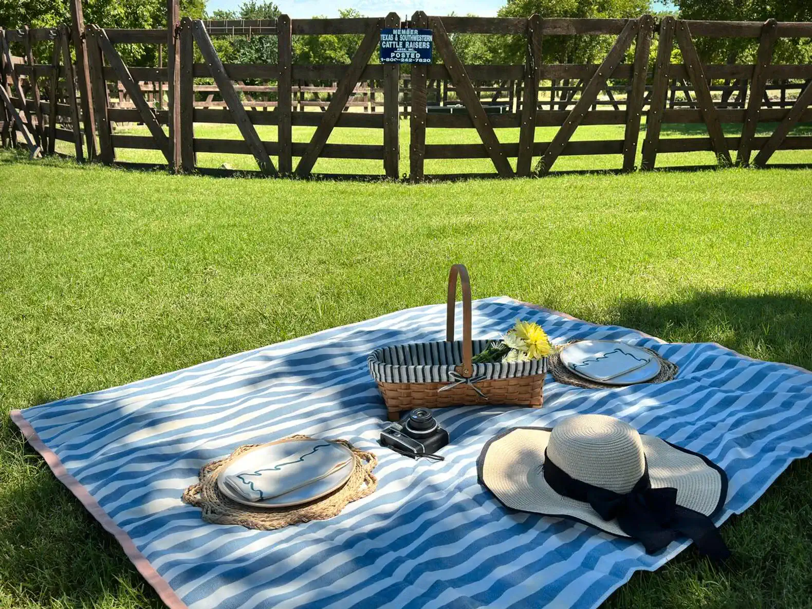 From sun-dappled meadows to shady groves, find your patch of paradise and let the picnic magic begin.