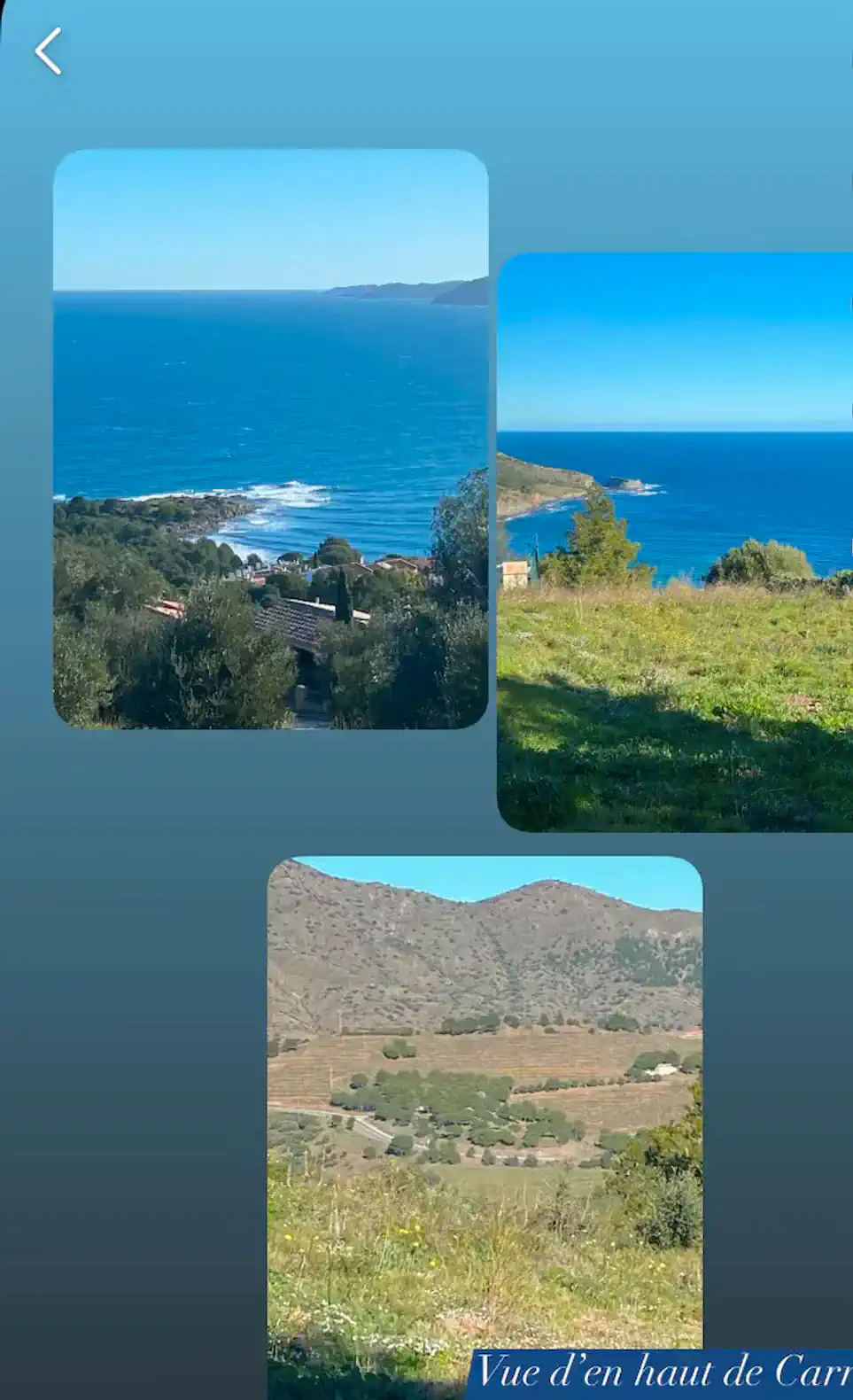 View