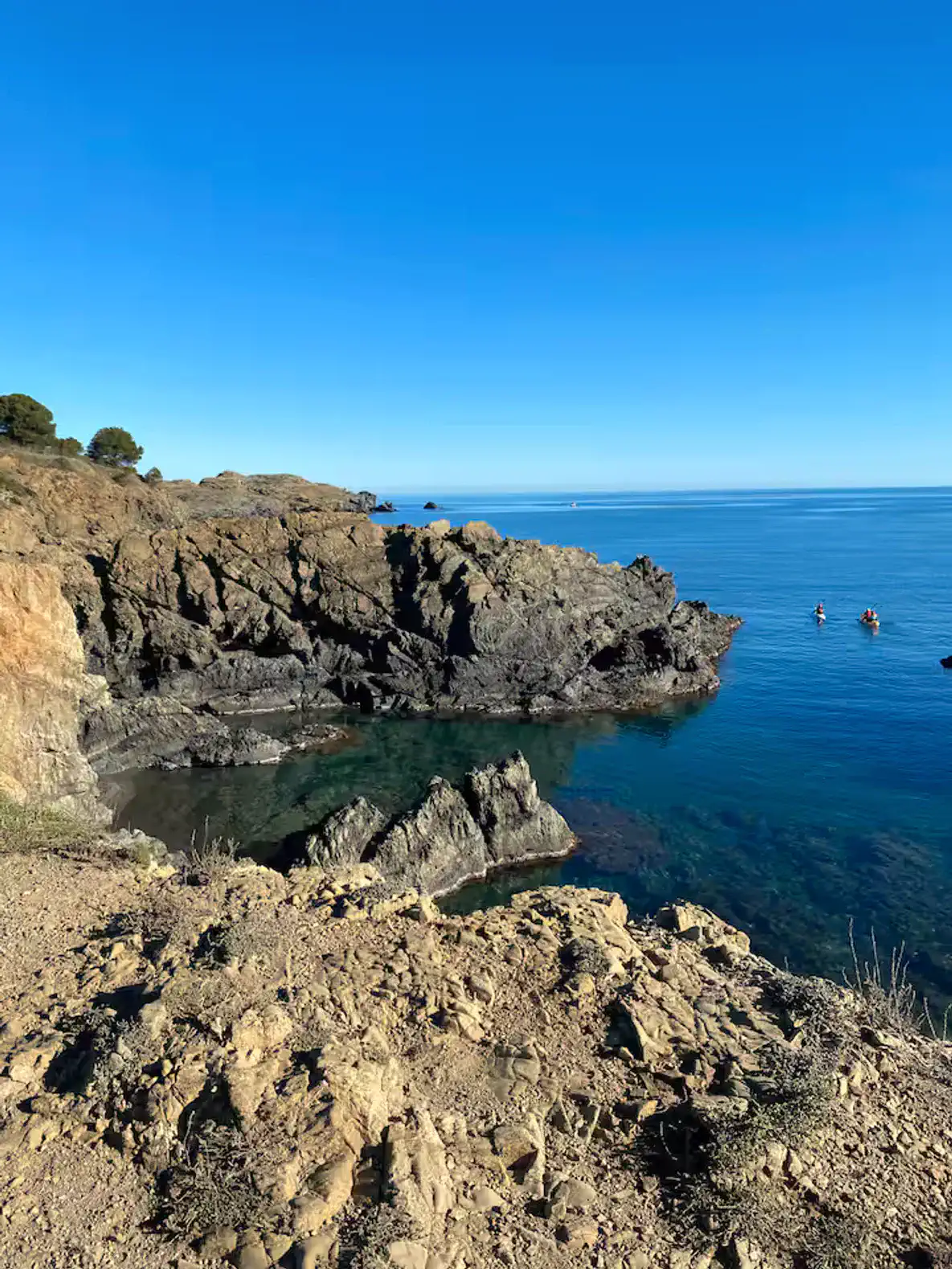 View