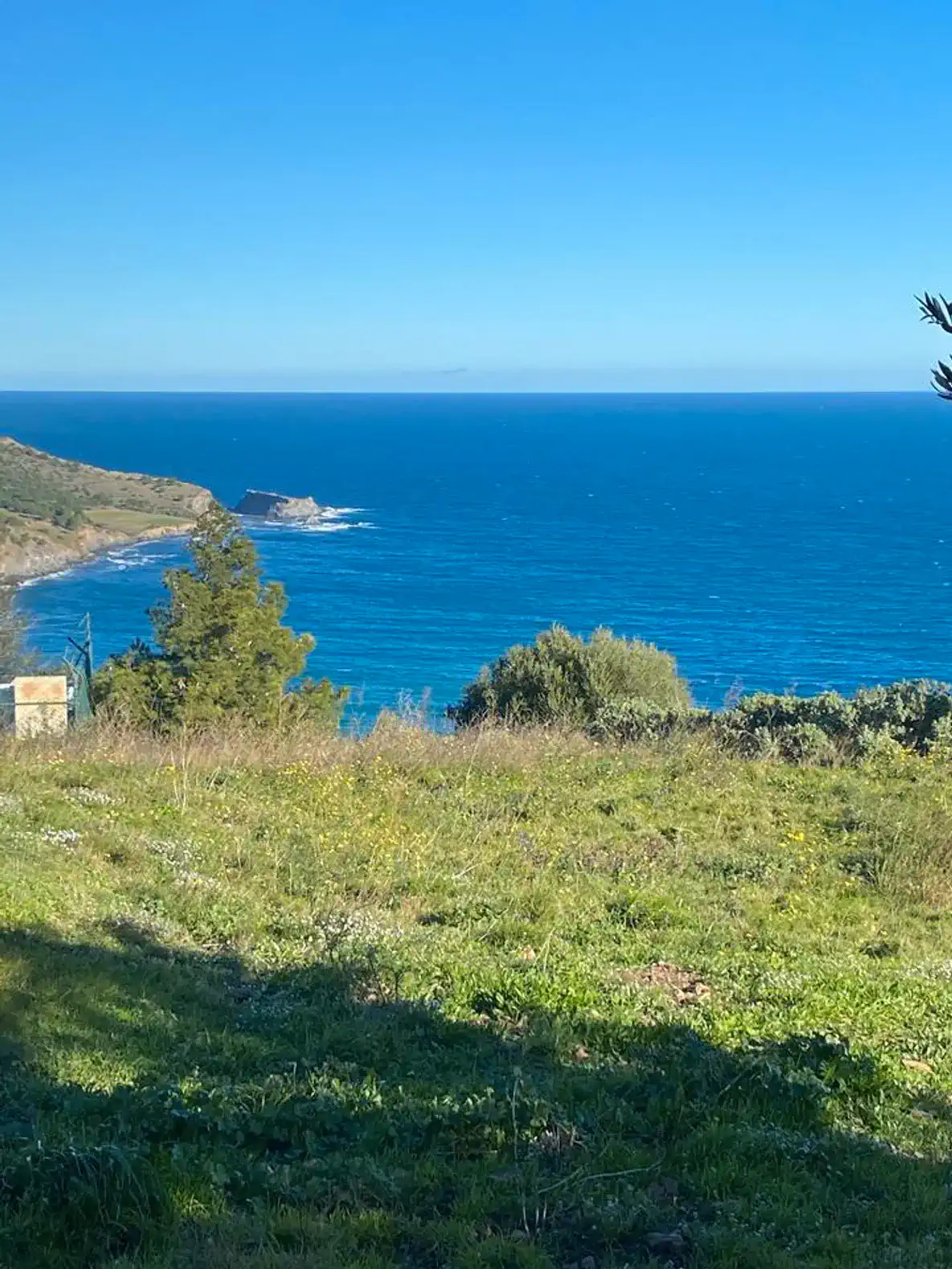 View