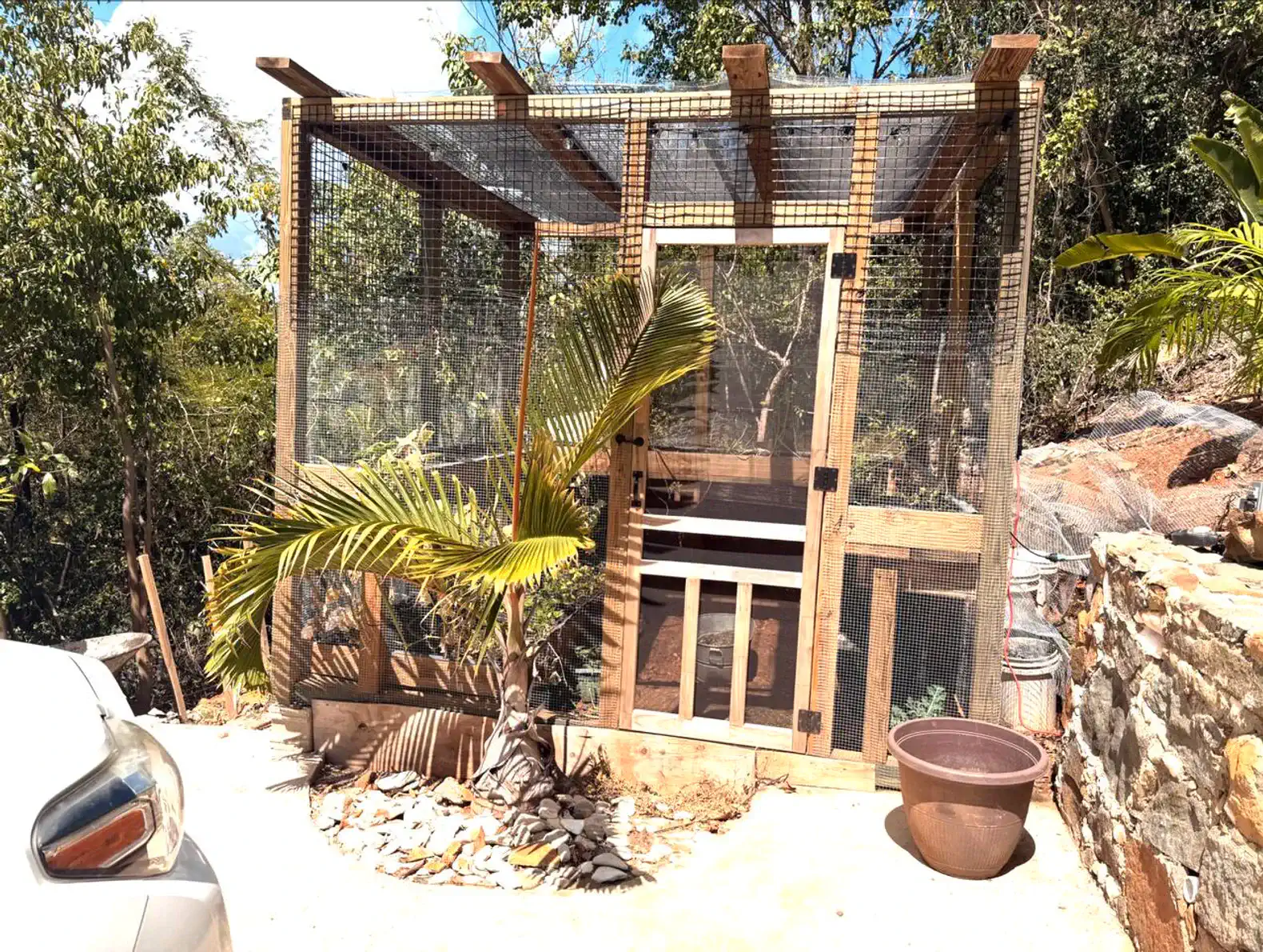 Outdoor aviary with wooden structure and mesh, surrounded by greenery
