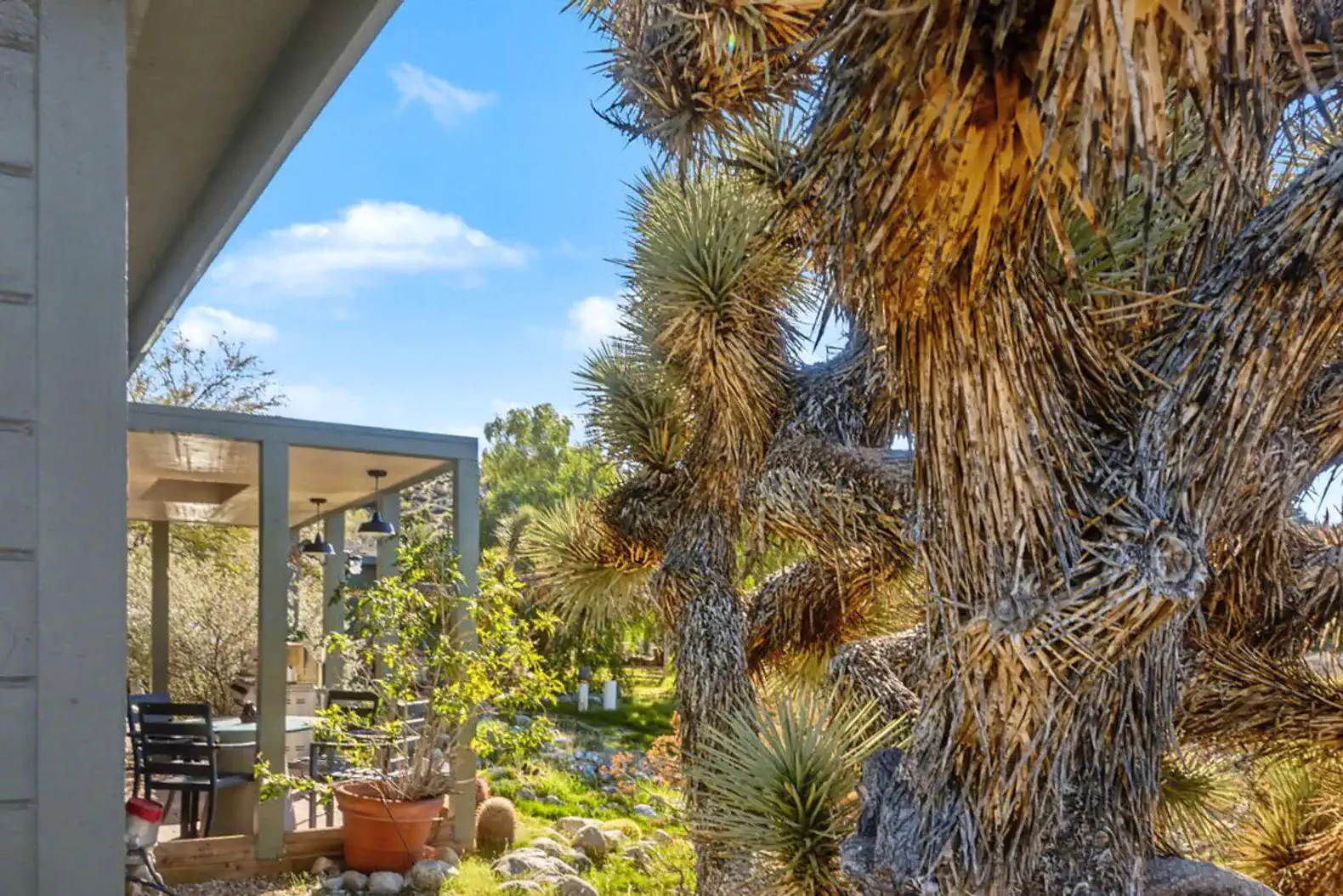 Roaming Desert Ridge | Hilltop Desert Escape – photo 47