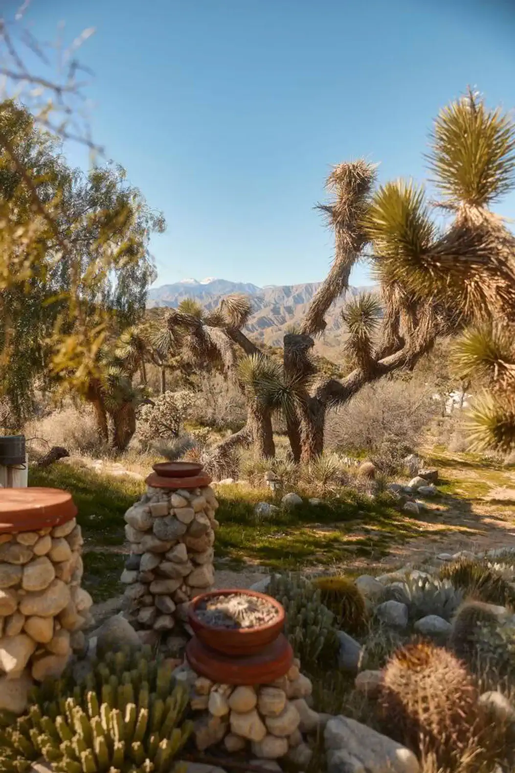 Roaming Desert Ridge | Hilltop Desert Escape – photo 5
