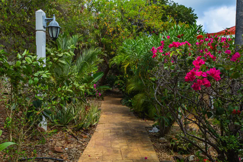 The gardens