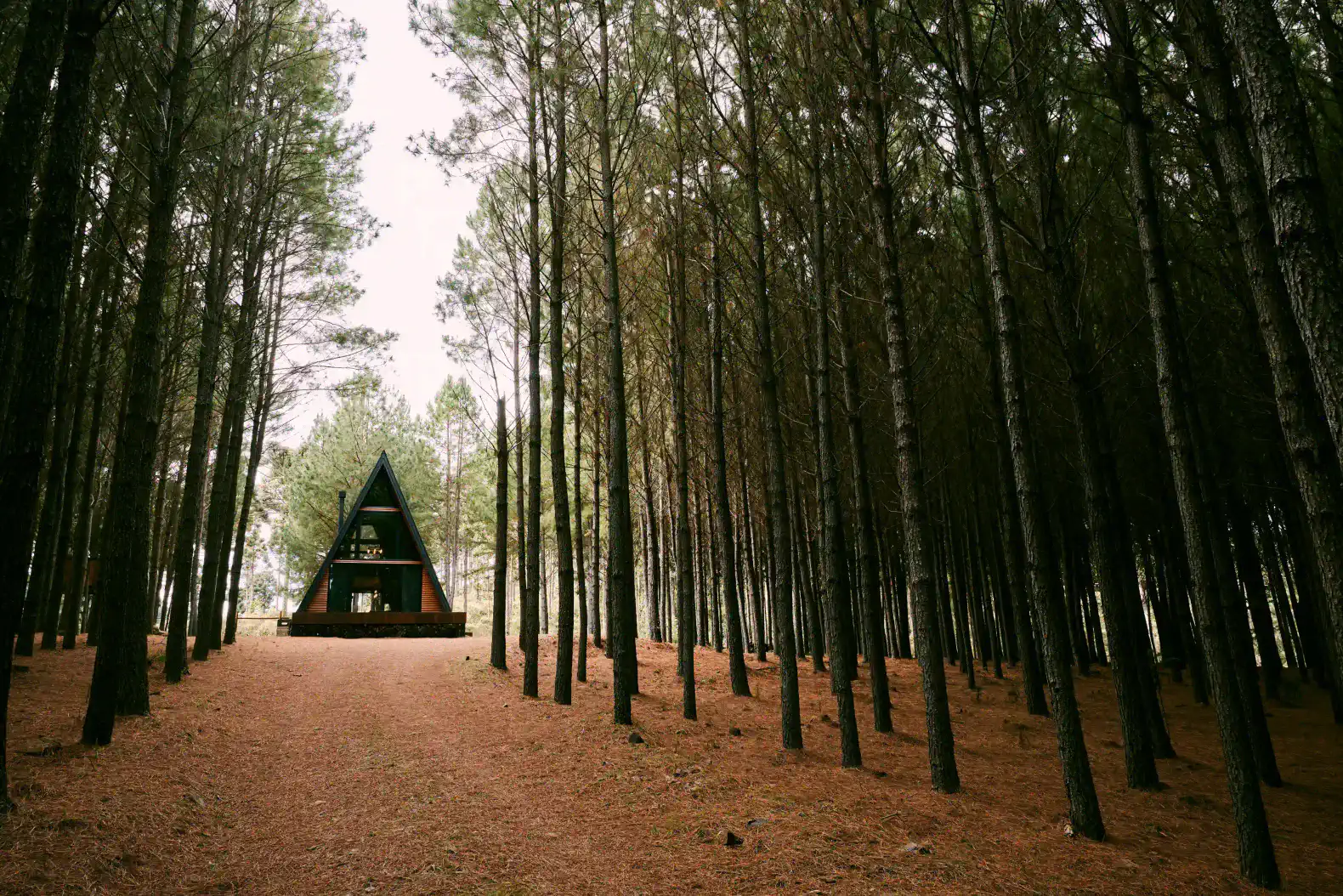A-frame cabin nestled among tall pine trees in a serene forest setting