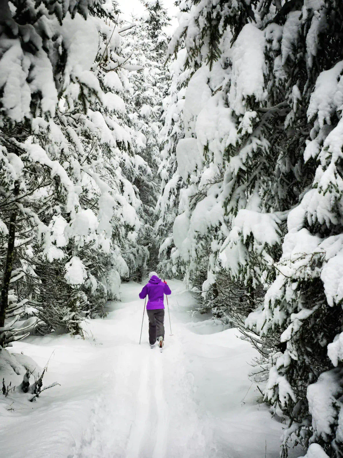 Stay in Whitefish