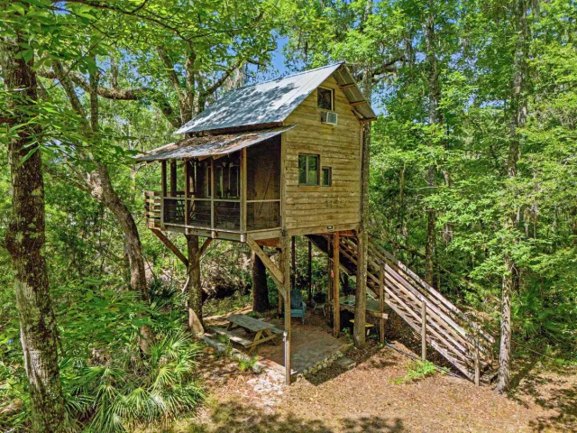 Photo of Sopchoppy River Treehouse