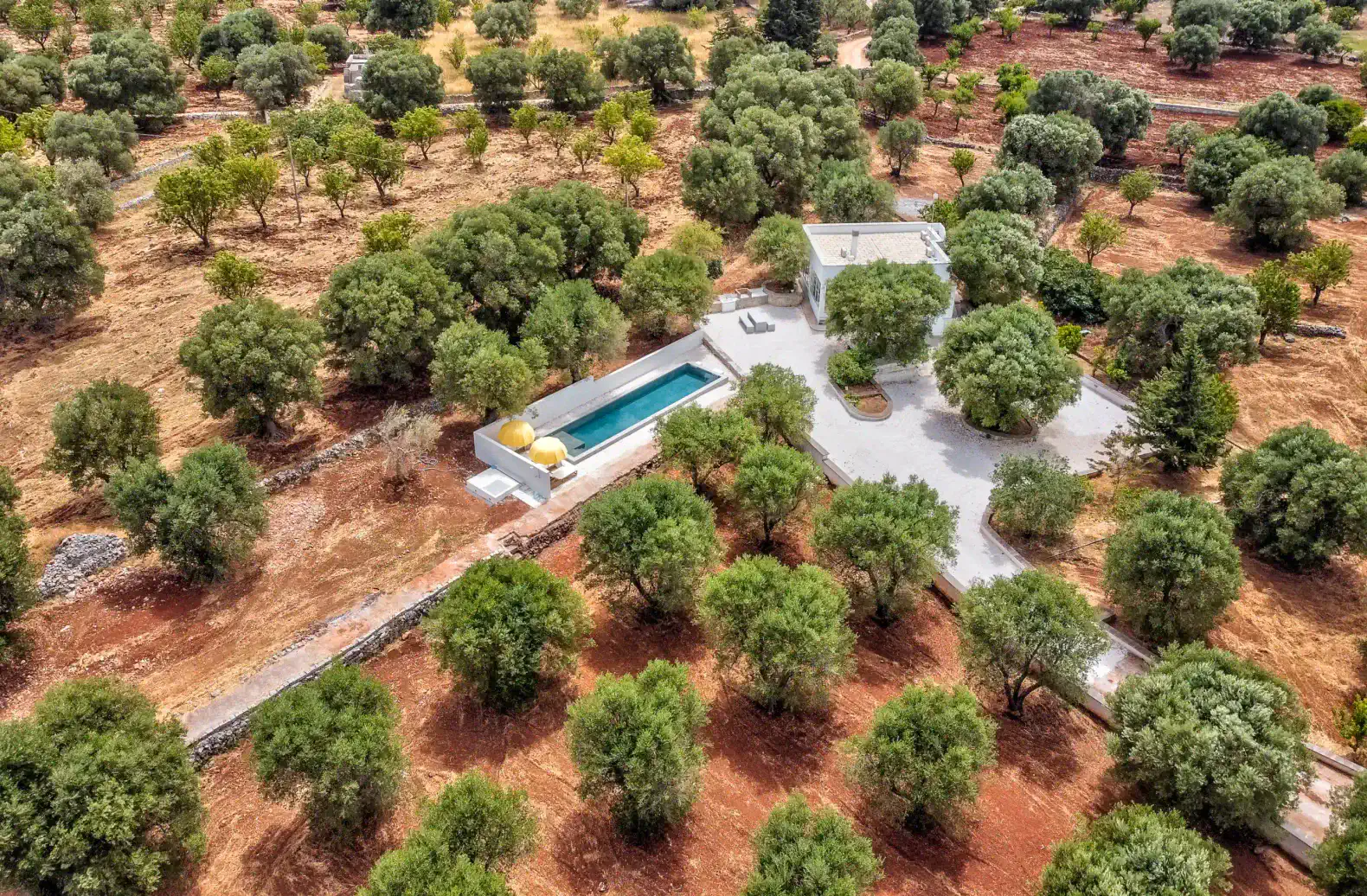 Villa Ostuni photo 2