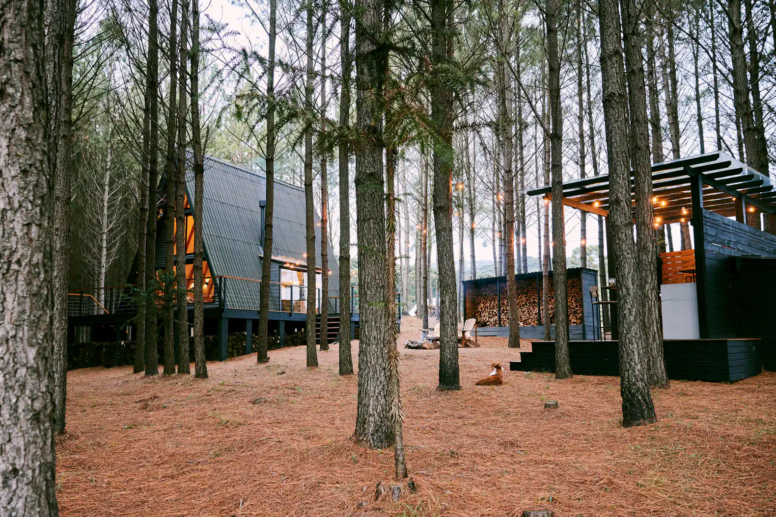 Glacier View Residence – photo 5