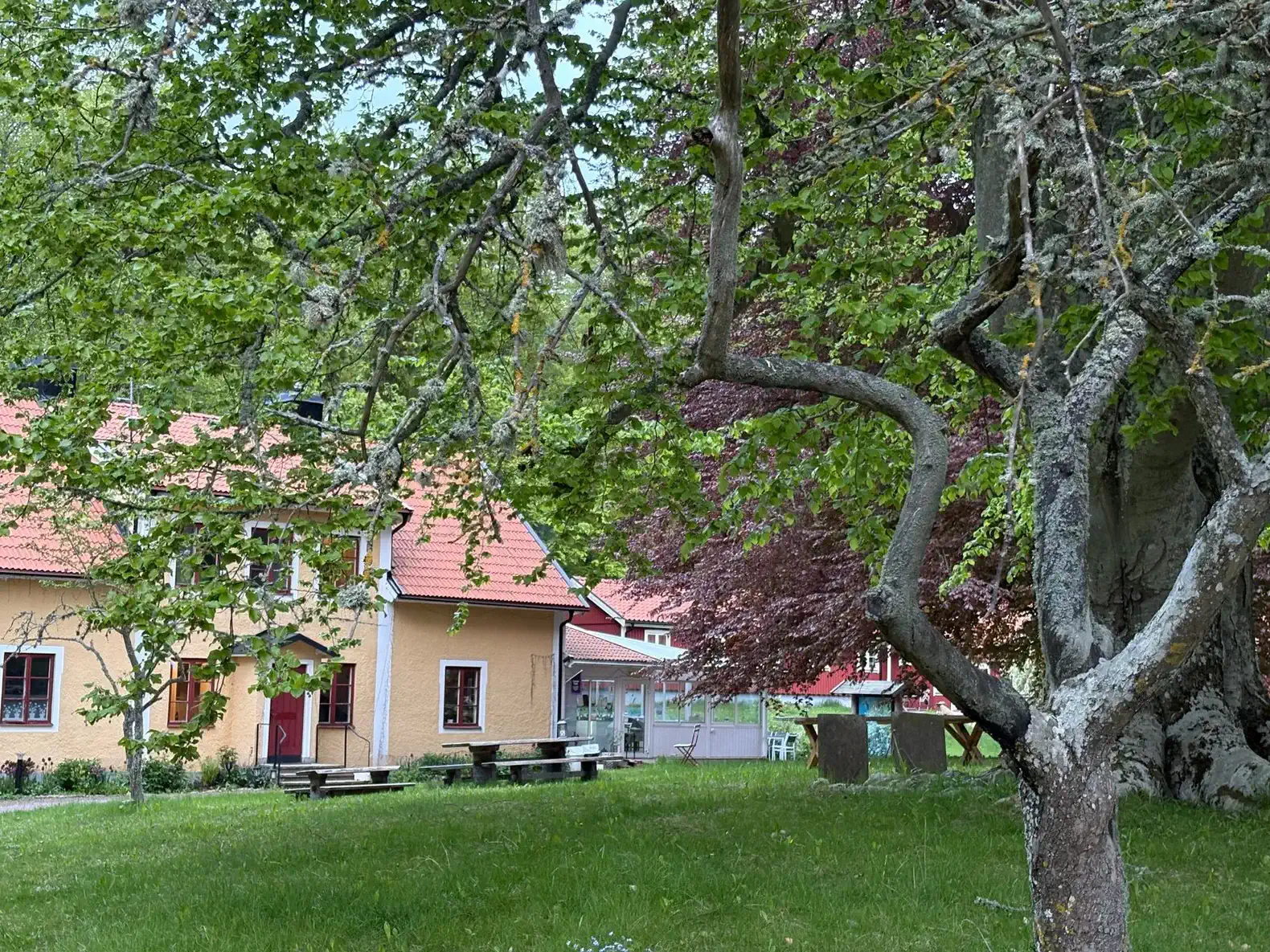 Charmantes gelbes Haus, umgeben von üppigem Grün und Bäumen